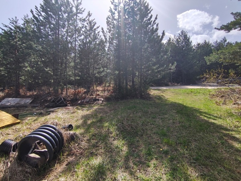 For Sale  Plot region Blagoevgrad , Bansko , 3115 sq.m | 56329099 - image [6]