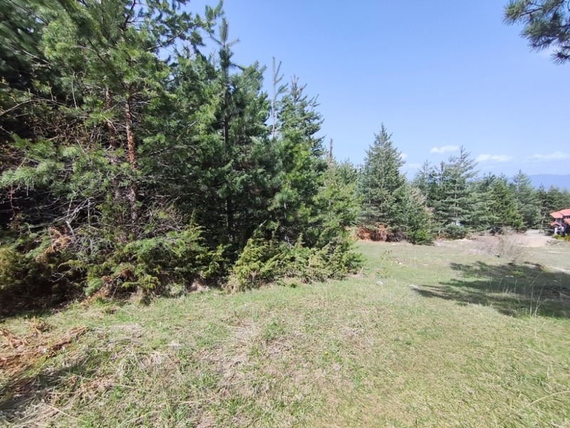 For Sale  Plot region Blagoevgrad , Bansko , 3115 sq.m | 56329099 - image [3]