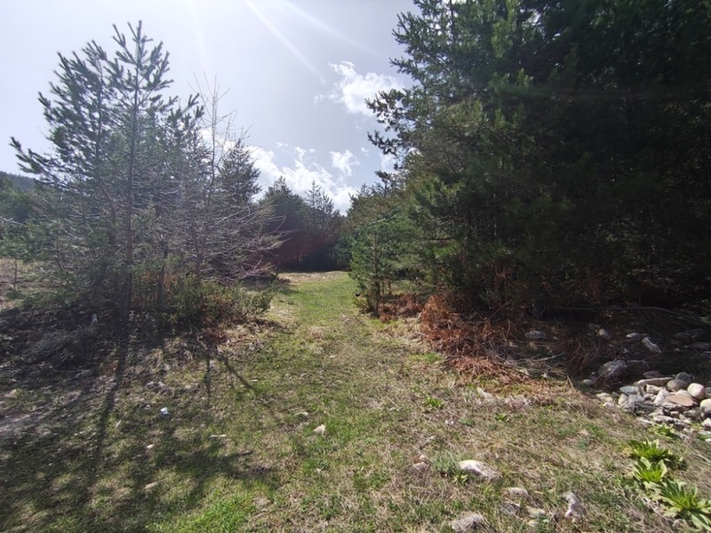 For Sale  Plot region Blagoevgrad , Bansko , 3115 sq.m | 56329099 - image [13]