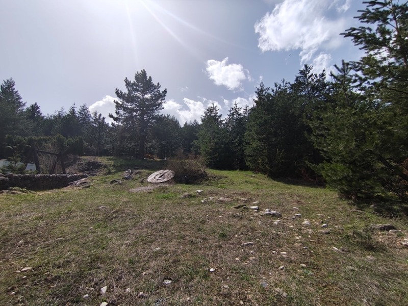 For Sale  Plot region Blagoevgrad , Bansko , 3115 sq.m | 56329099 - image [10]