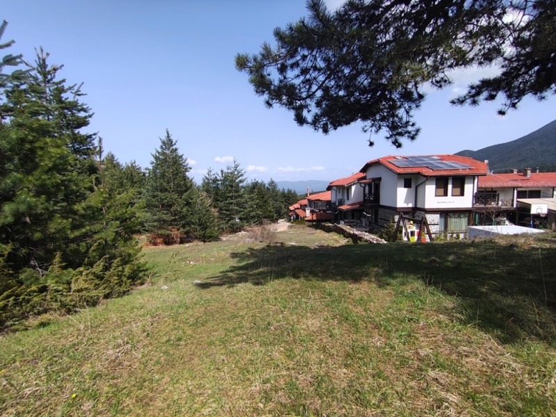 For Sale  Plot region Blagoevgrad , Bansko , 3115 sq.m | 56329099 - image [2]