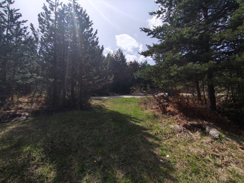For Sale  Plot region Blagoevgrad , Bansko , 3115 sq.m | 56329099 - image [5]