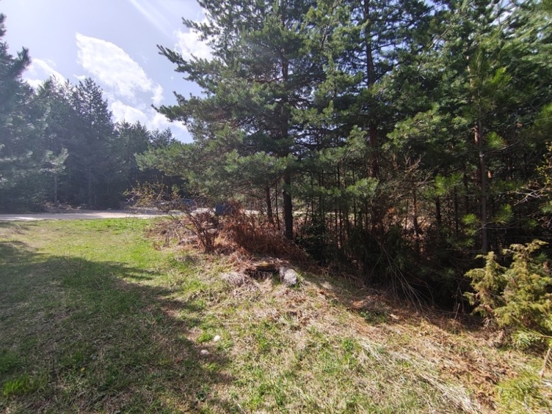 For Sale  Plot region Blagoevgrad , Bansko , 3115 sq.m | 56329099 - image [7]