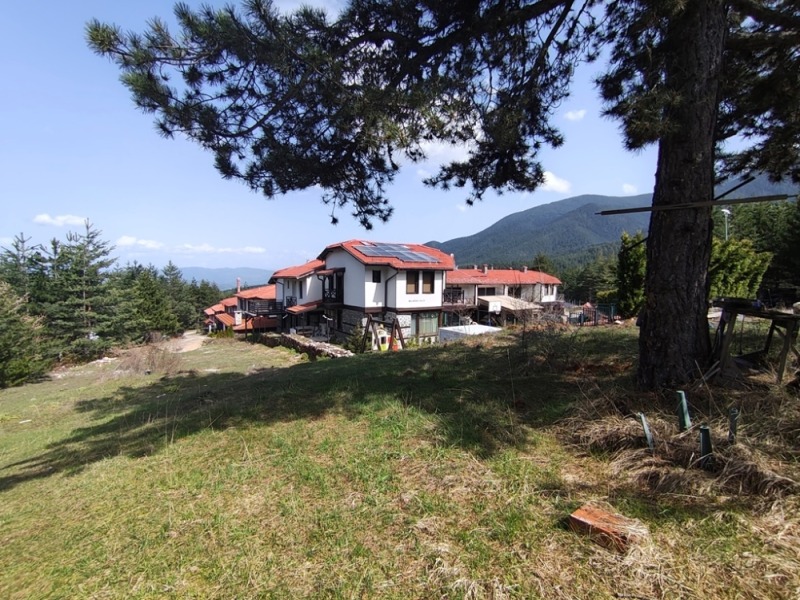 For Sale  Plot region Blagoevgrad , Bansko , 3115 sq.m | 56329099 - image [4]
