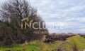Продава  Парцел област София , с. Голяновци , 4222 кв.м | 85974810 - изображение [4]