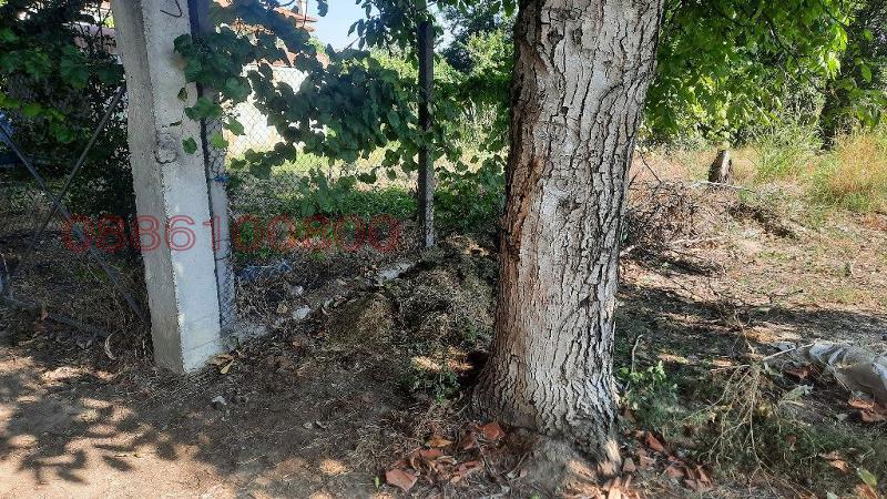 ������� ������ | Imot.bg � ����������� 7