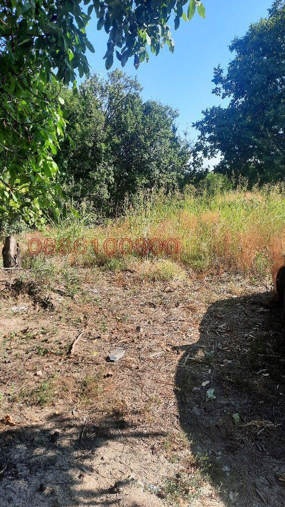 ������� ������ | Imot.bg � ����������� 3