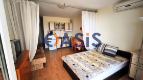 Studie Sveti Vlas, region Burgas 5