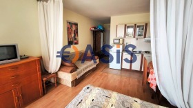 Studie Sveti Vlas, region Burgas 6