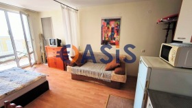Studie Sveti Vlas, region Burgas 4