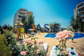 Studie Sveti Vlas, region Burgas 13