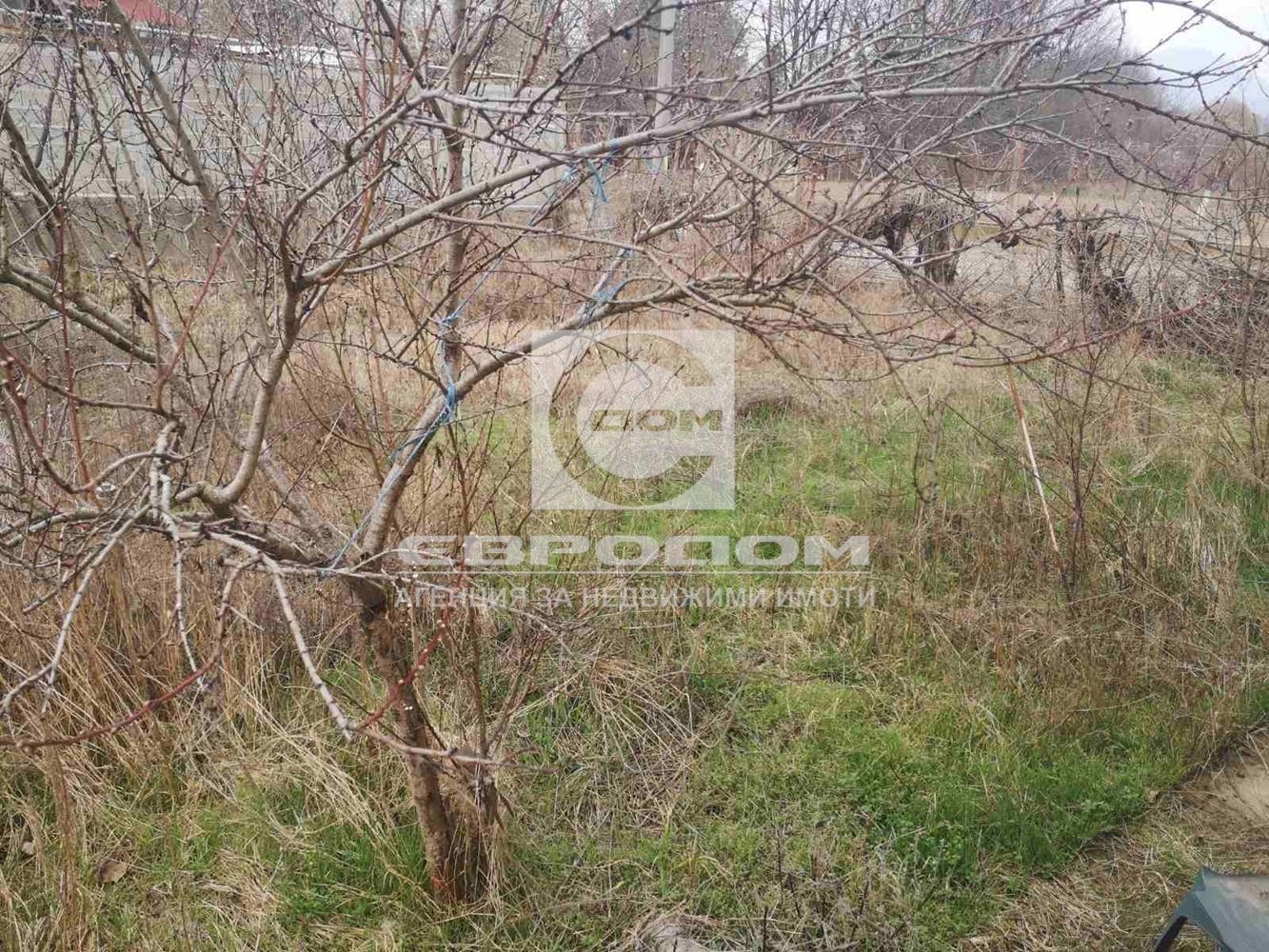 Продава КЪЩА, с. Ягода, област Стара Загора, снимка 3 - Къщи - 56066261