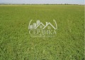 Продава ПАРЦЕЛ, гр. София, гр. Банкя, снимка 1