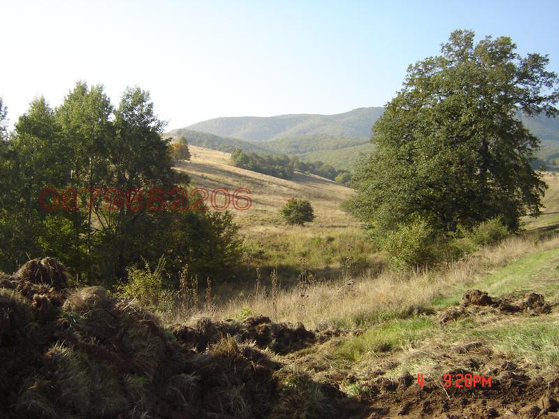 ������� ������ | Imot.bg � ����������� 9