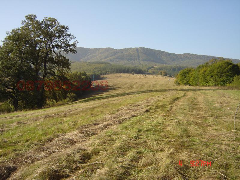 ������� ������ | Imot.bg � ����������� 8