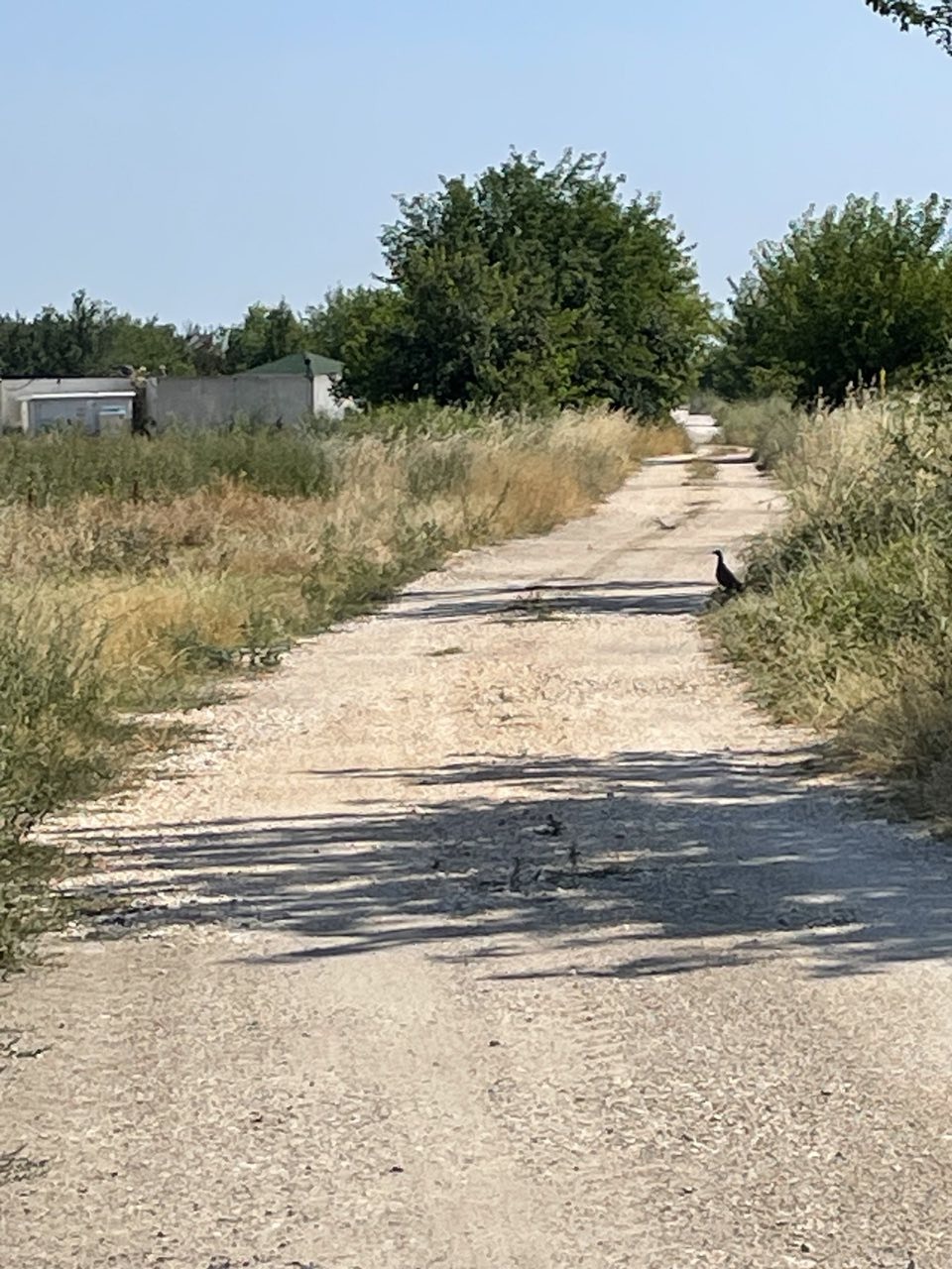 ������� ������ | Imot.bg � ����������� 2