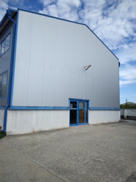 ����� ������� ����. ���������,���� �����, ���������� ���� - �����