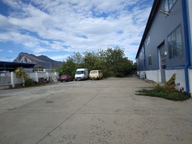 ����� ������� ����. ���������,���� �����, ���������� ���� - �����