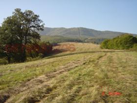 ������� ������ | Imot.bg � ����� ������ 8