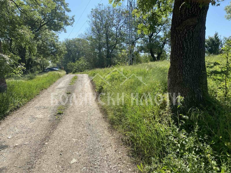 Til salgs  Plott region Veliko Tarnovo , Gorna Orjahovitsa , 4183 kvm | 89481674 - bilde [4]