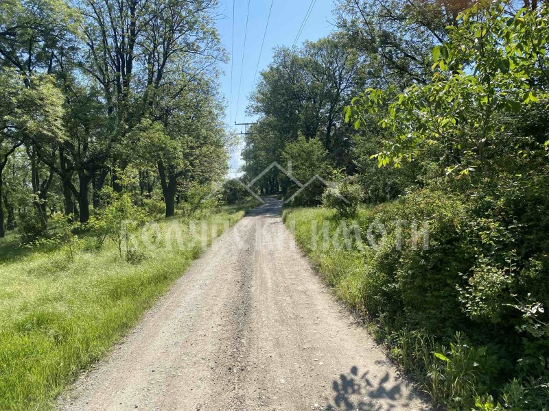 Til salgs  Plott region Veliko Tarnovo , Gorna Orjahovitsa , 4183 kvm | 89481674 - bilde [5]