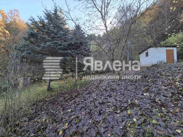 ������� ���� | Imot.bg � ����������� 17