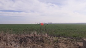 ����� ������� ���������� ����,��. ������, ������ ������