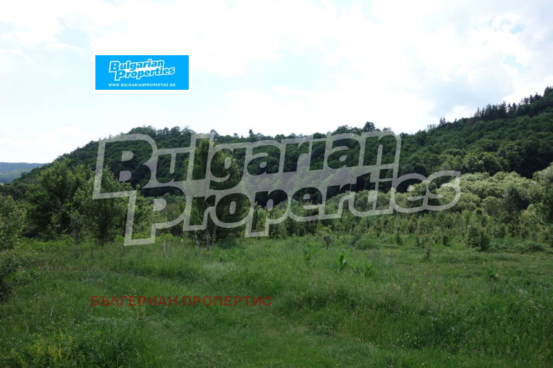 Продава  Парцел област Габрово , гр. Трявна , 4666 кв.м | 43637600 - изображение [6]