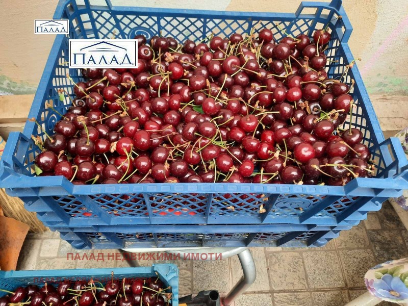 Προς πώληση  Οικόπεδο περιοχή Βάρνα , Βληζνατση , 19450 τ.μ | 87318599 - εικόνα [5]