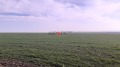 Продава  Земеделска земя област Бургас , гр. Бургас , 8 дка | 86392115 - изображение [4]