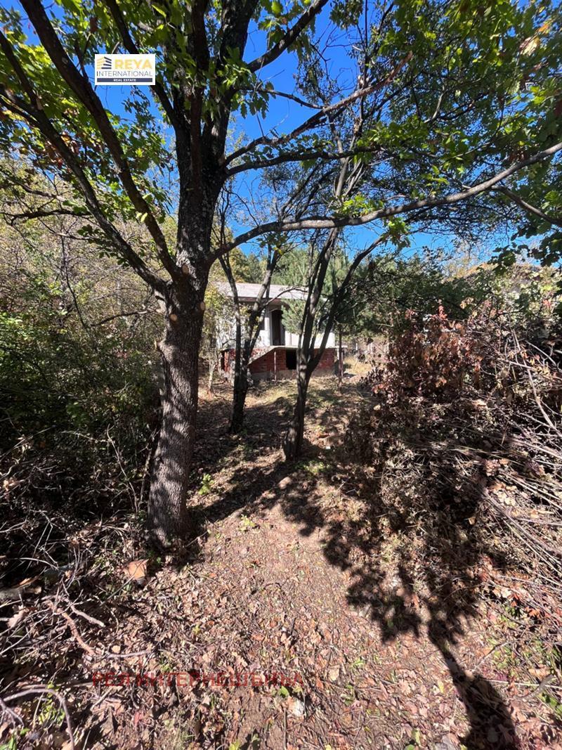 ������� ������ | Imot.bg � ����������� 1