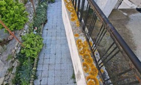 ������� ���� | Imot.bg � ����� ������ 14