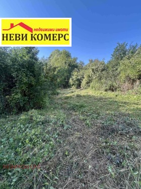 ������ ������� ������