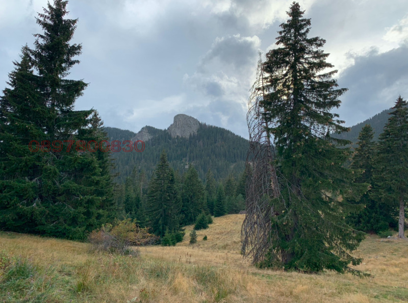 For Sale  Plot region Smolyan , k.k. Pamporovo , 4500 sq.m | 18131752