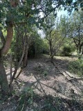Продава  Парцел област Перник , с. Долна Секирна , 845 кв.м | 76134792 - изображение [3]