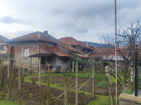 ����� ������� ����,��. �����, ������ �����