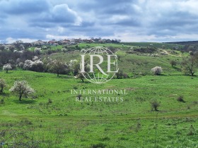 ����� ������� ������,�. ����� ����������, ������ �����