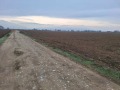 Продава ЗЕМЕДЕЛСКА ЗЕМЯ, гр. Пловдив, област Пловдив, снимка 2