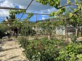 Продава  Къща град Сливен , в.з. Сливен , 100 кв.м | 98643604 - изображение [3]