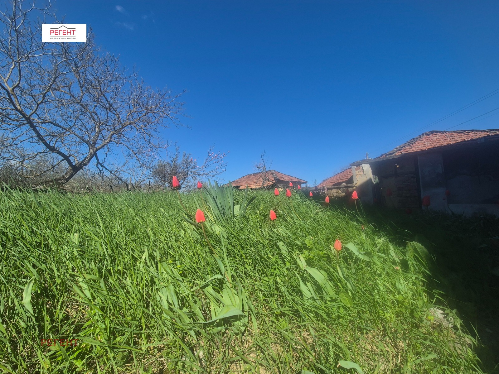 ������� ���� | Imot.bg � ����������� 6