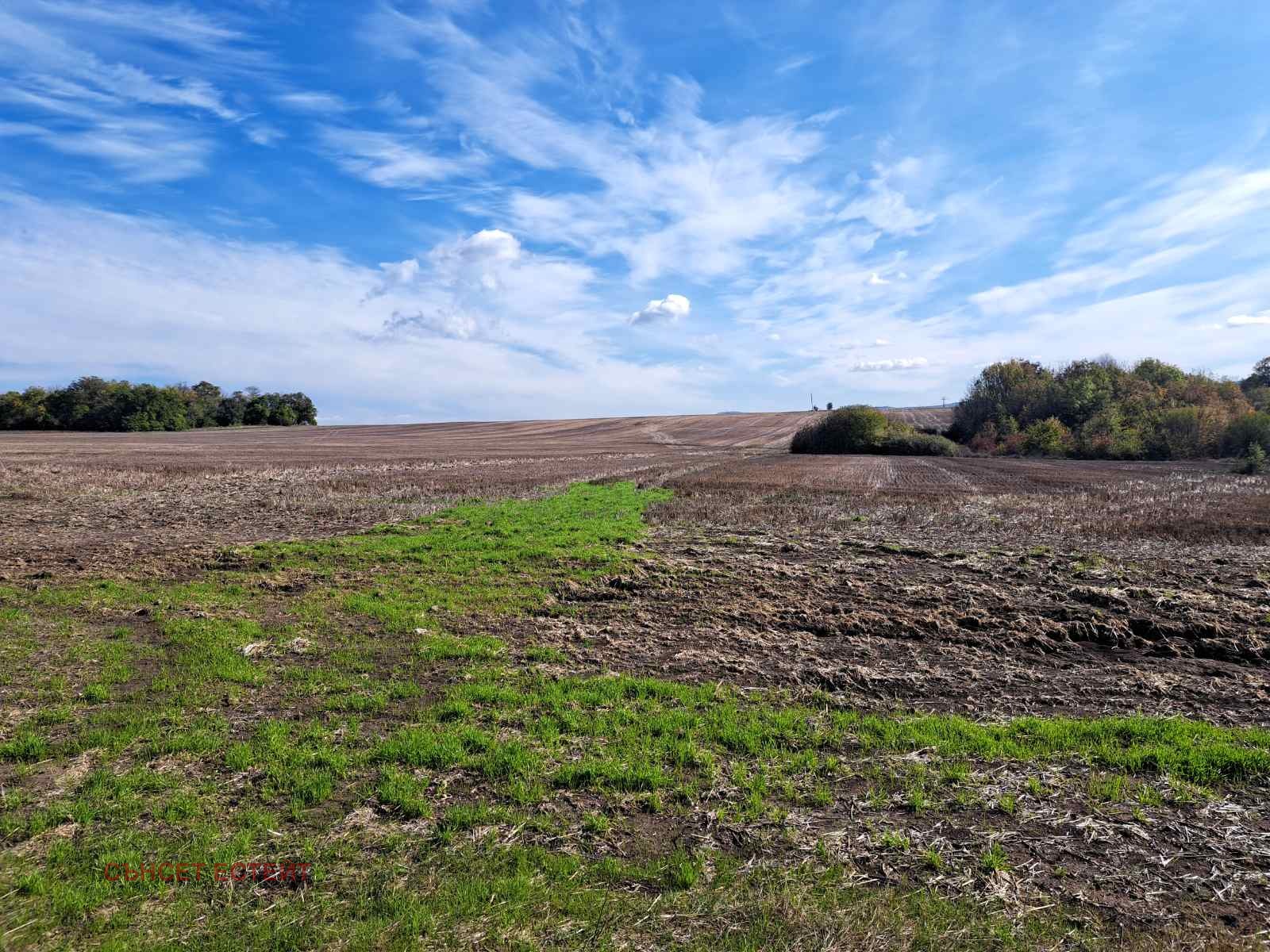 ������� ������ | Imot.bg � ����������� 1