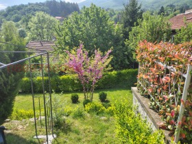 ������� ������ | Imot.bg � ����� ������ 13