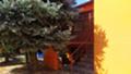 Продава КЪЩА, област Русе, с. Кошов • 54500 € • 36798453 — Holmes.bg