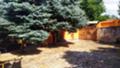 Продава КЪЩА, област Русе, с. Кошов • 54500 € • 36798453 — Holmes.bg