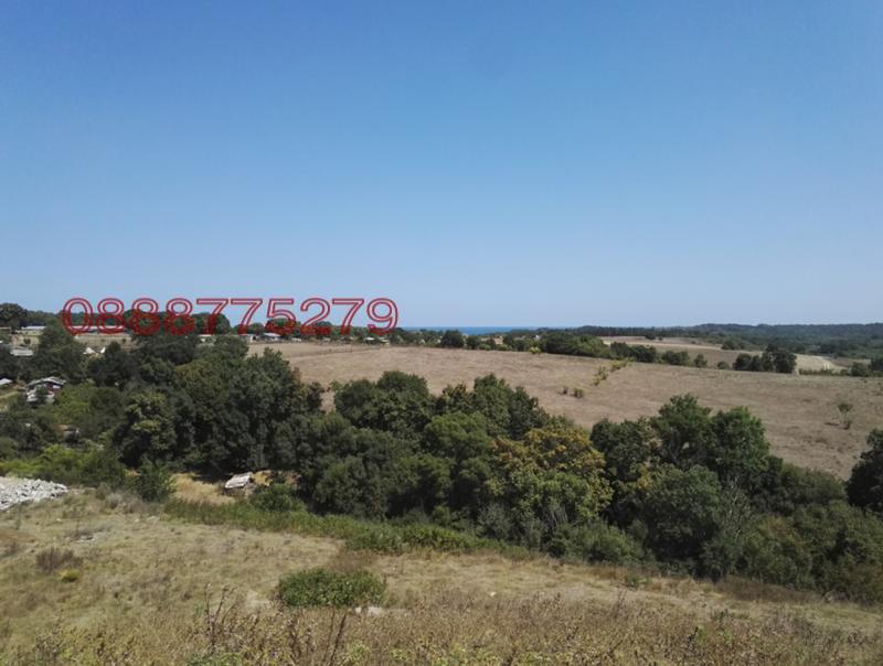 ������� ����. ��������� | Imot.bg � ����������� 12