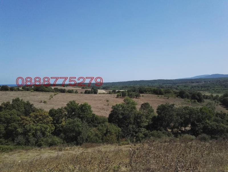 ������� ����. ��������� | Imot.bg � ����������� 14