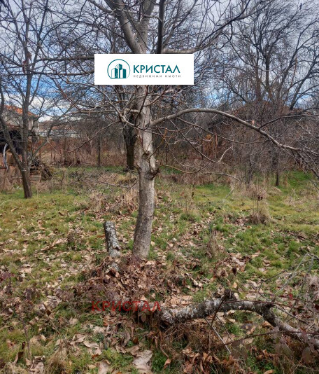 Продава КЪЩА, с. Златосел, област Пловдив, снимка 3 - Къщи - 56285450