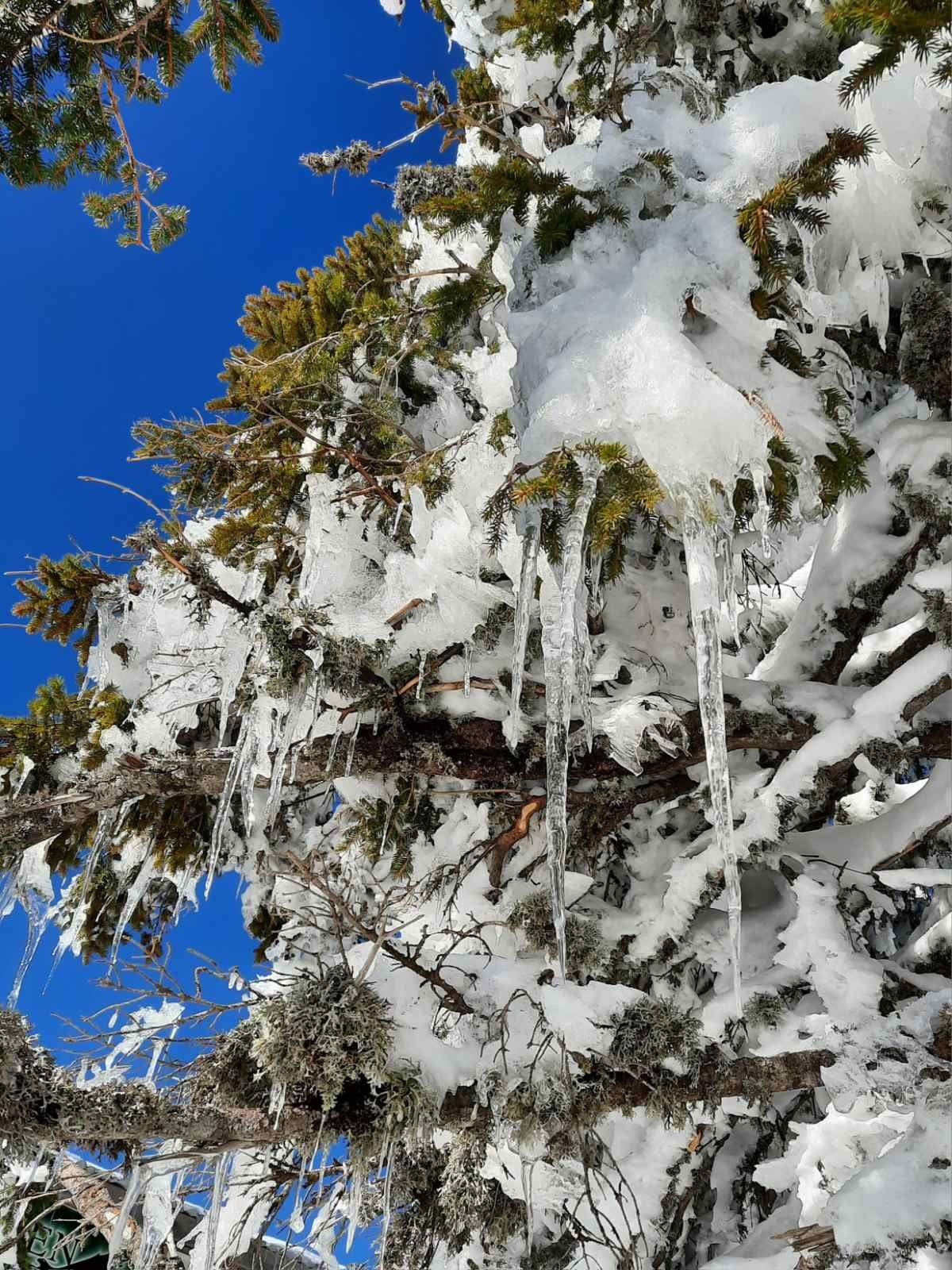 ������� ������ | Imot.bg � ����������� 3