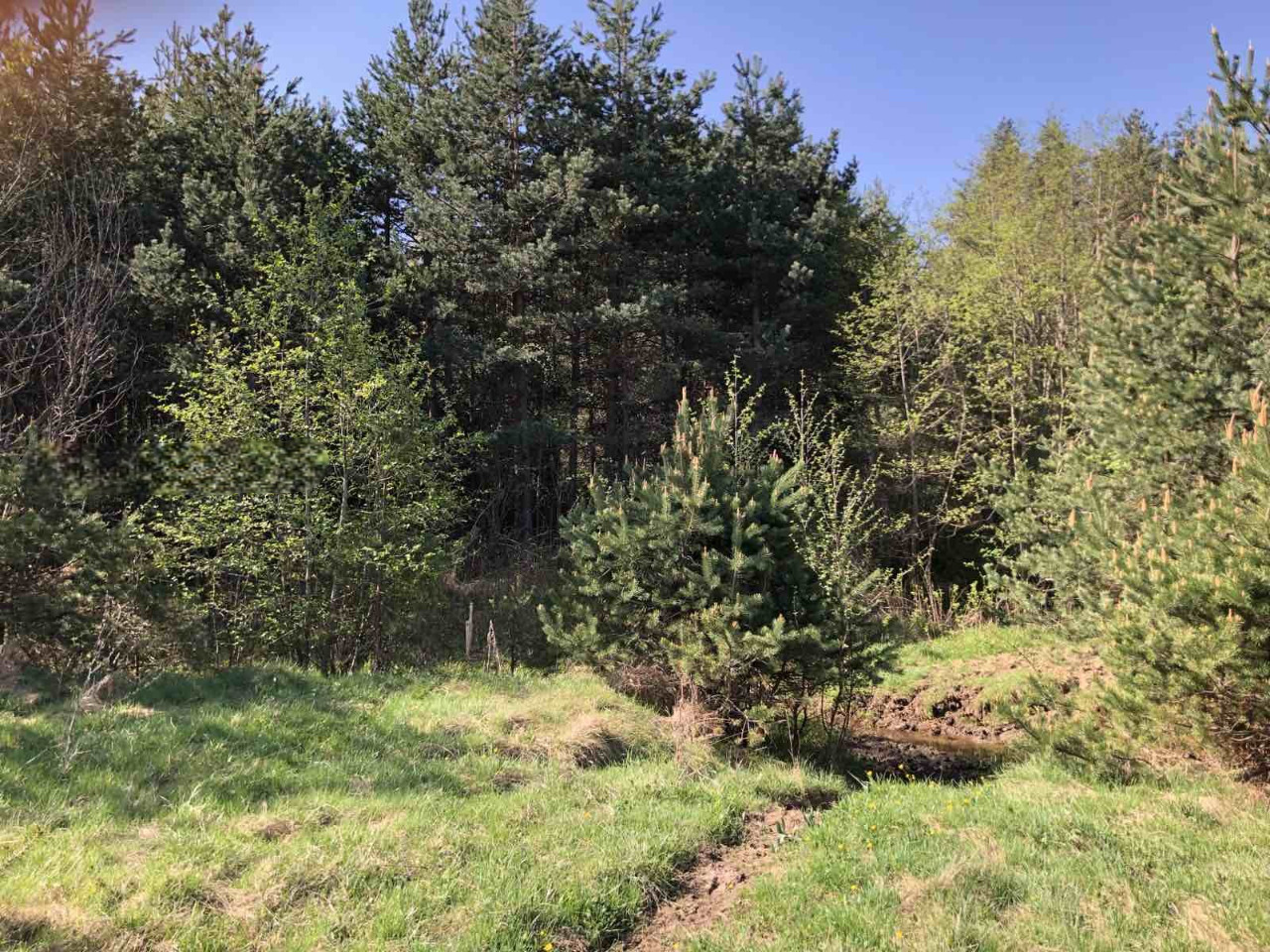 ������� ������ | Imot.bg � ����������� 2