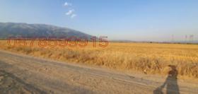   | Imot.bg    3